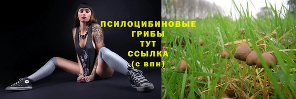 МДПВ Балахна