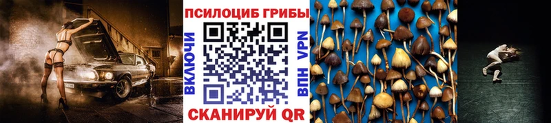 где купить наркоту  Казань  hydra ссылка  Псилоцибиновые грибы Psilocybe 